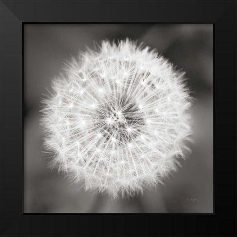 Dandelion Seedhead Black Modern Wood Framed Art Print by Audit, Lisa