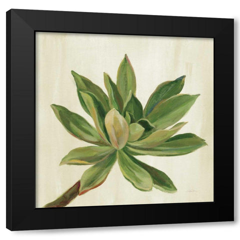 Front Yard Succulent I Black Modern Wood Framed Art Print by Vassileva, Silvia