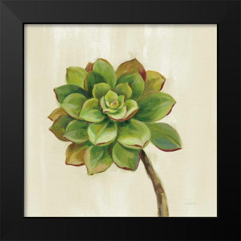 Front Yard Succulent IV Black Modern Wood Framed Art Print by Vassileva, Silvia