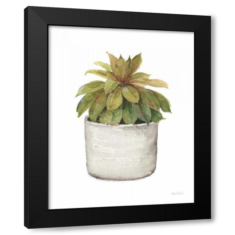 Mixed Greens Succulent III Black Modern Wood Framed Art Print with Double Matting by Audit, Lisa