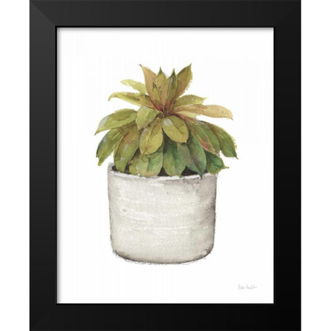 Mixed Greens Succulent III Black Modern Wood Framed Art Print by Audit, Lisa