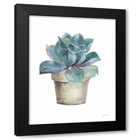 Mixed Greens Succulent IV Black Modern Wood Framed Art Print with Double Matting by Audit, Lisa