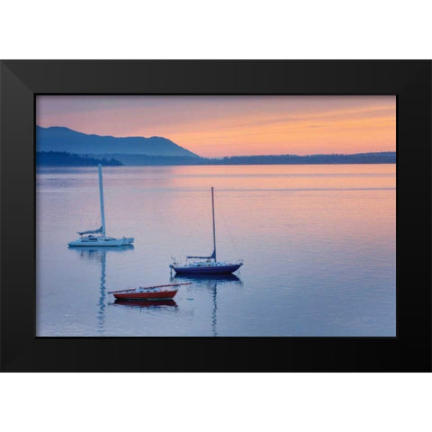 Bellingham Bay Black Modern Wood Framed Art Print by Majchrowicz, Alan