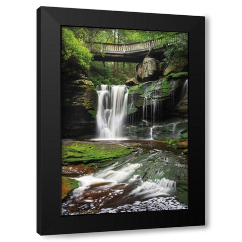 Elakala Falls West I Black Modern Wood Framed Art Print with Double Matting by Majchrowicz, Alan