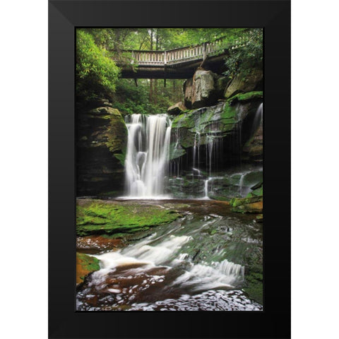 Elakala Falls West I Black Modern Wood Framed Art Print by Majchrowicz, Alan