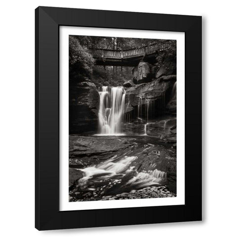 Elakala Falls West I BW Black Modern Wood Framed Art Print with Double Matting by Majchrowicz, Alan
