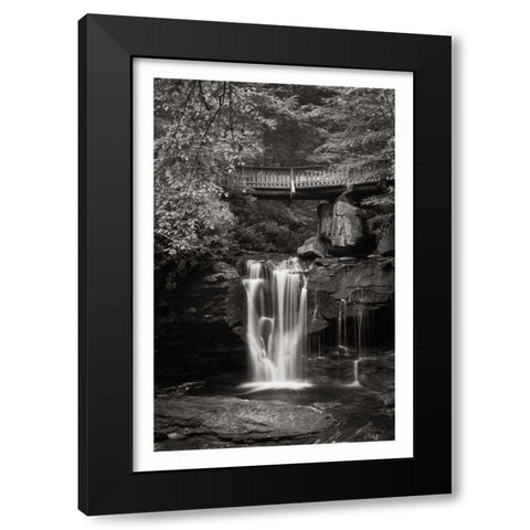 Elakala Falls West II BW Black Modern Wood Framed Art Print by Majchrowicz, Alan