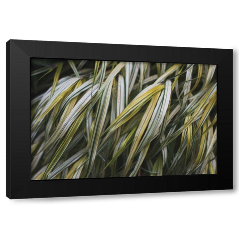 Leafy III Black Modern Wood Framed Art Print with Double Matting by Urquhart, Elizabeth