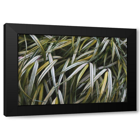 Leafy IV Black Modern Wood Framed Art Print with Double Matting by Urquhart, Elizabeth