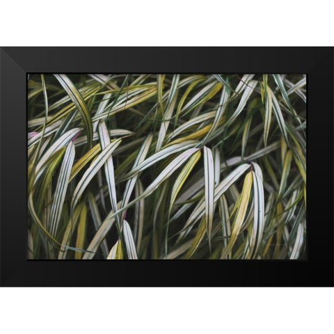 Leafy IV Black Modern Wood Framed Art Print by Urquhart, Elizabeth