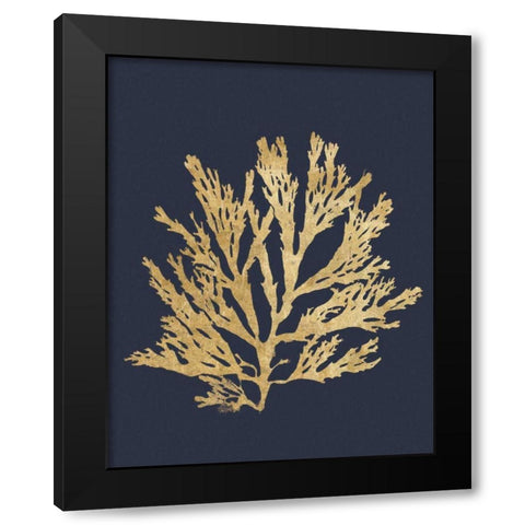 Pacific Sea Mosses I Indigo Black Modern Wood Framed Art Print with Double Matting by Wild Apple Portfolio