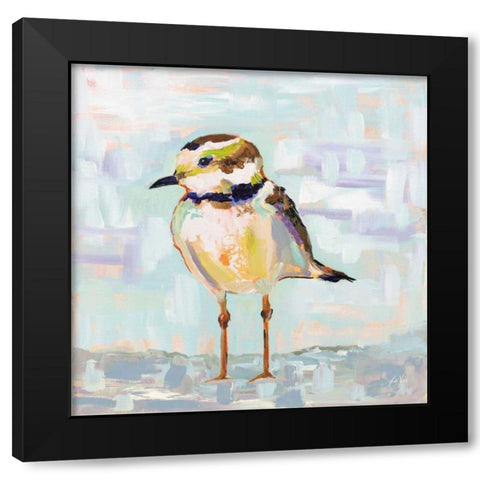 Coastal Plover II Neutral Black Modern Wood Framed Art Print with Double Matting by Vertentes, Jeanette