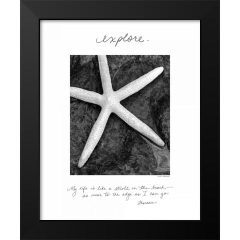 Explore Black Modern Wood Framed Art Print by Van Swearingen, Debra