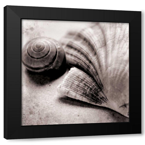 Ocean Treasures Square Black Modern Wood Framed Art Print with Double Matting by Schlabach, Sue