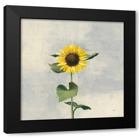 Sunny Blooms II Black Modern Wood Framed Art Print with Double Matting by Purinton, Julia