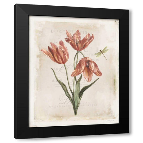 Antiquarian Blooms III Black Modern Wood Framed Art Print with Double Matting by Pertiet, Katie