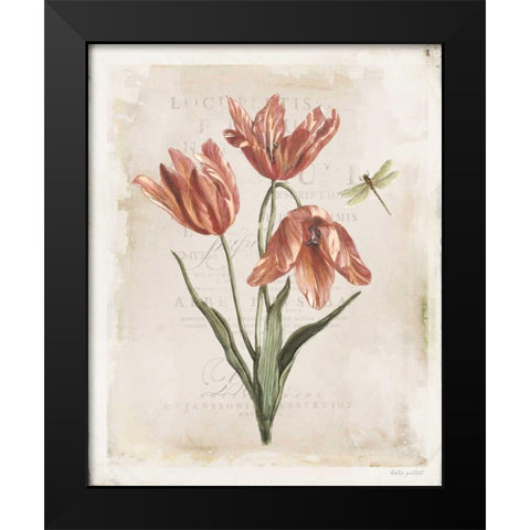 Antiquarian Blooms III Black Modern Wood Framed Art Print by Pertiet, Katie