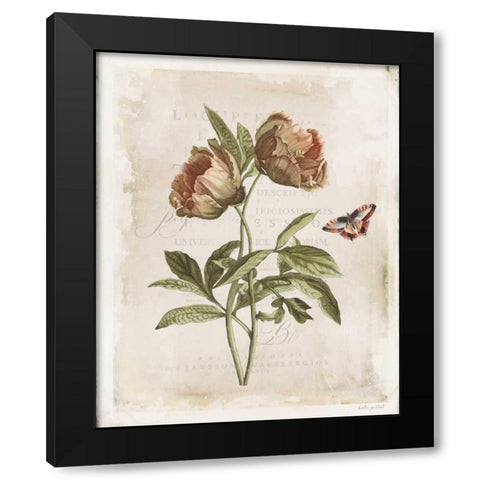 Antiquarian Blooms VI Black Modern Wood Framed Art Print with Double Matting by Pertiet, Katie