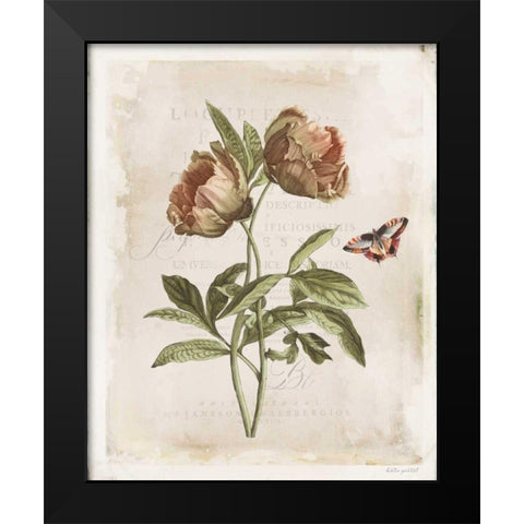 Antiquarian Blooms VI Black Modern Wood Framed Art Print by Pertiet, Katie