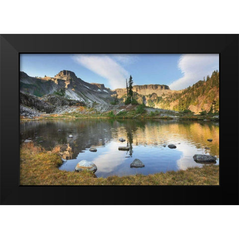 Heather Meadows in Autumn Black Modern Wood Framed Art Print by Majchrowicz, Alan