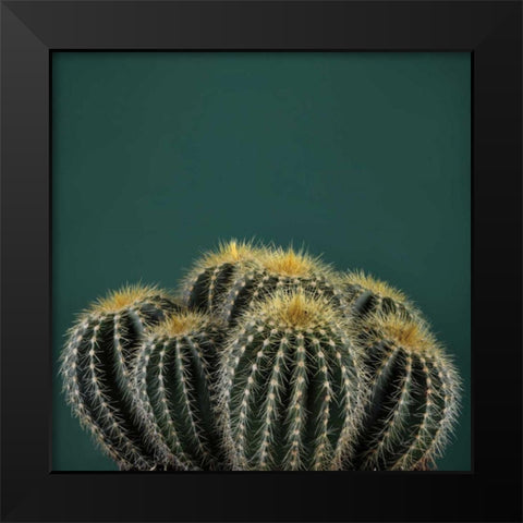 Cacti I Black Modern Wood Framed Art Print by Eichman, Andre