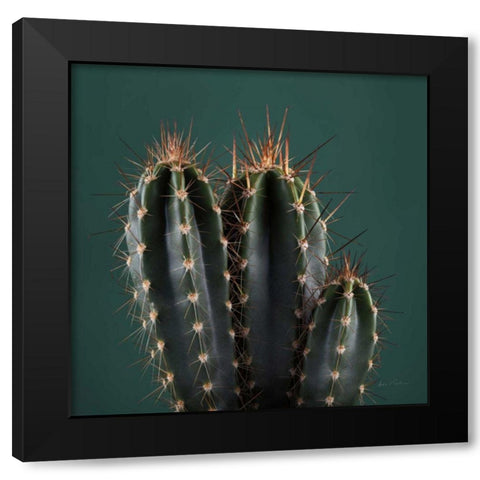 Cacti III Black Modern Wood Framed Art Print with Double Matting by Eichman, Andre