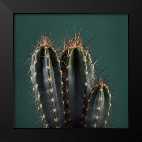Cacti III Black Modern Wood Framed Art Print by Eichman, Andre