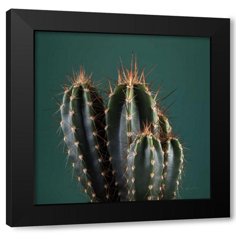 Cacti IV Black Modern Wood Framed Art Print with Double Matting by Eichman, Andre