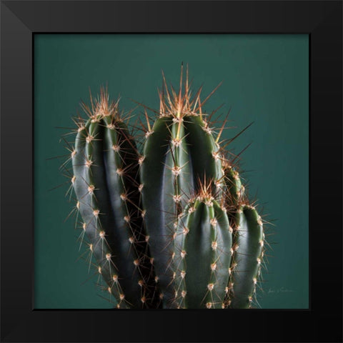 Cacti IV Black Modern Wood Framed Art Print by Eichman, Andre