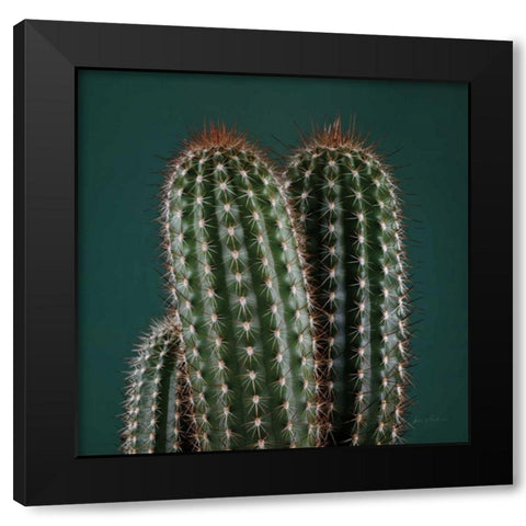 Cacti V Black Modern Wood Framed Art Print with Double Matting by Eichman, Andre