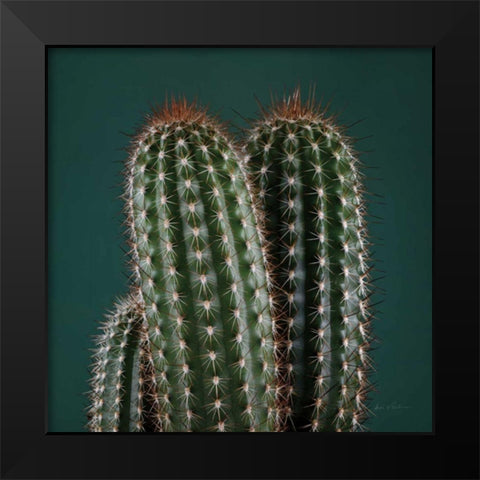Cacti V Black Modern Wood Framed Art Print by Eichman, Andre