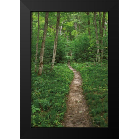 North Country Trail Black Modern Wood Framed Art Print by Majchrowicz, Alan
