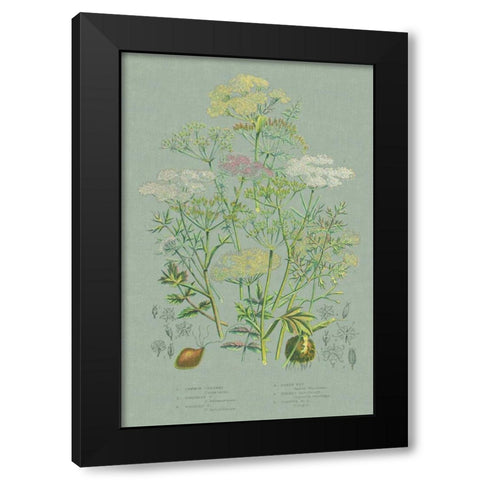 Flowering Plants II Green Linen Black Modern Wood Framed Art Print with Double Matting by Wild Apple Portfolio