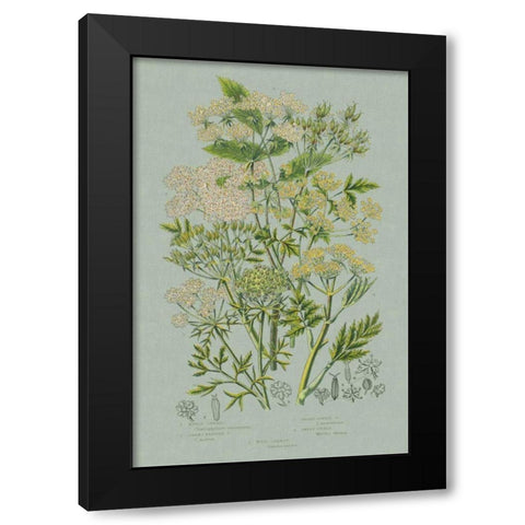 Flowering Plants III Green Linen Black Modern Wood Framed Art Print by Wild Apple Portfolio