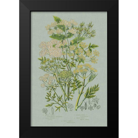Flowering Plants III Green Linen Black Modern Wood Framed Art Print by Wild Apple Portfolio