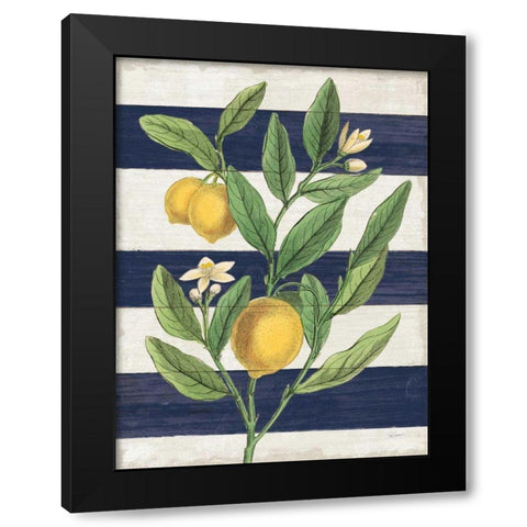 Classic Citrus V Navy Shiplap NW Black Modern Wood Framed Art Print with Double Matting by Schlabach, Sue