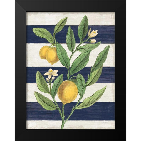 Classic Citrus V Navy Shiplap NW Black Modern Wood Framed Art Print by Schlabach, Sue