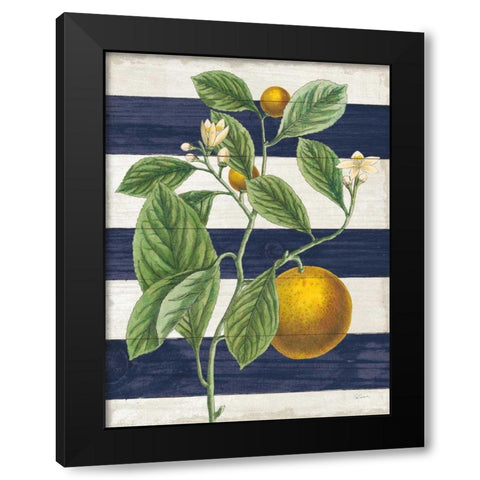 Classic Citrus VI Navy Shiplap NW Black Modern Wood Framed Art Print with Double Matting by Schlabach, Sue