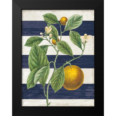 Classic Citrus VI Navy Shiplap NW Black Modern Wood Framed Art Print by Schlabach, Sue