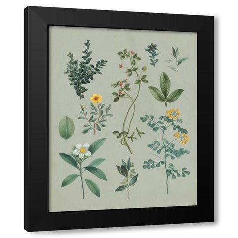 Victorian Garden V Black Modern Wood Framed Art Print with Double Matting by Wild Apple Portfolio