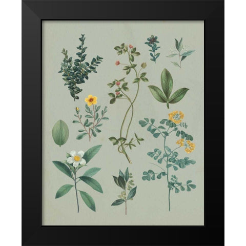Victorian Garden V Black Modern Wood Framed Art Print by Wild Apple Portfolio