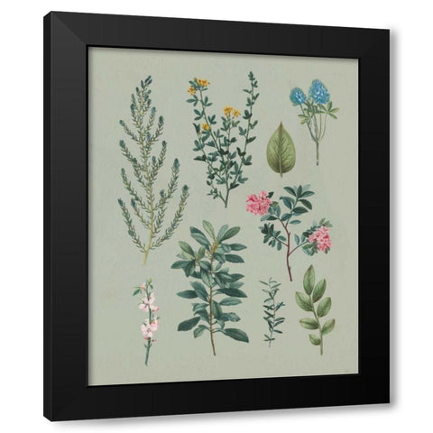 Victorian Garden VI Black Modern Wood Framed Art Print with Double Matting by Wild Apple Portfolio