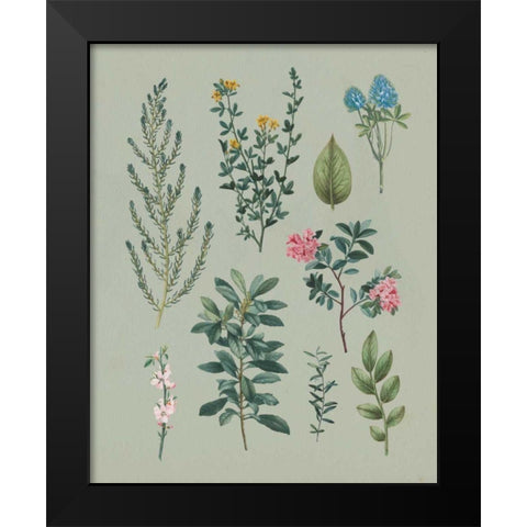 Victorian Garden VI Black Modern Wood Framed Art Print by Wild Apple Portfolio