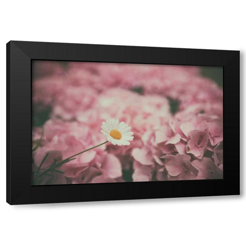 Daisy Dreams Black Modern Wood Framed Art Print with Double Matting by Aledanda