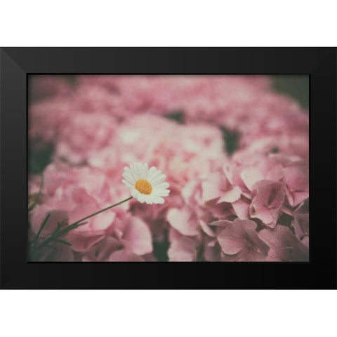 Daisy Dreams Black Modern Wood Framed Art Print by Aledanda