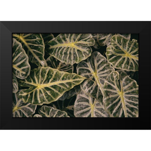 Greenery Abounds Black Modern Wood Framed Art Print by Aledanda