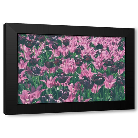 Tulip Botanical Black Modern Wood Framed Art Print with Double Matting by Aledanda