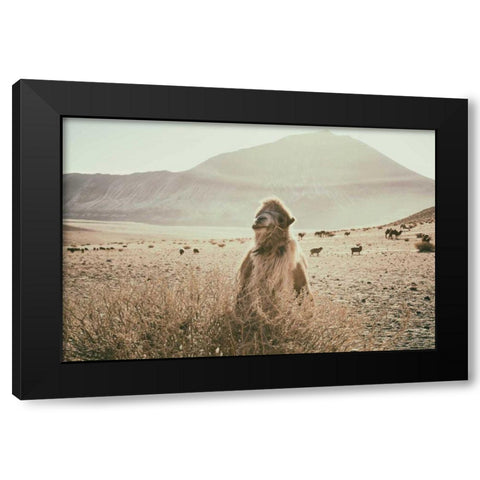 Desert Camel Black Modern Wood Framed Art Print by Aledanda