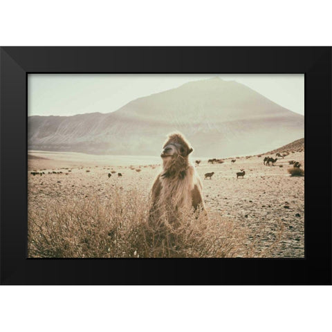 Desert Camel Black Modern Wood Framed Art Print by Aledanda