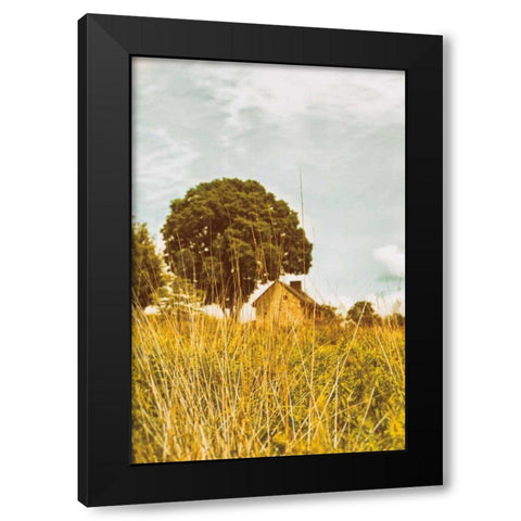 Grass and Sky Black Modern Wood Framed Art Print with Double Matting by Aledanda